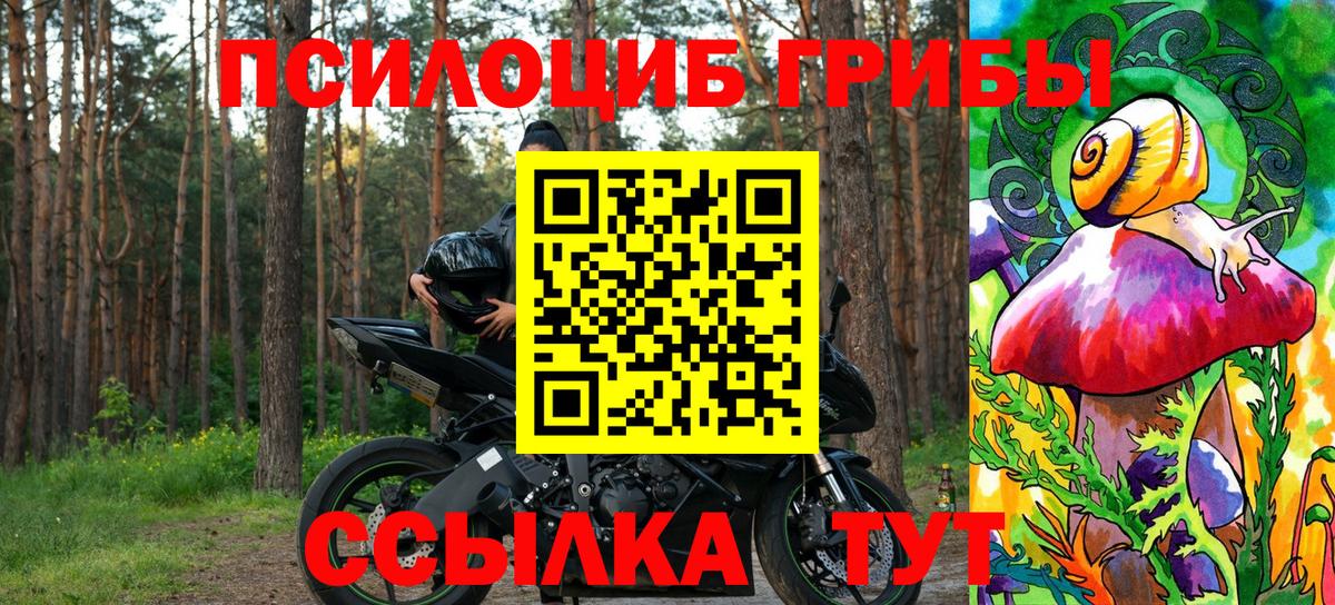 Борисоглебск  Псилоцибиновые грибы мухоморы  Вход с VPN 